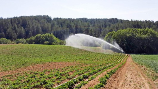 Irrigazione con lancia