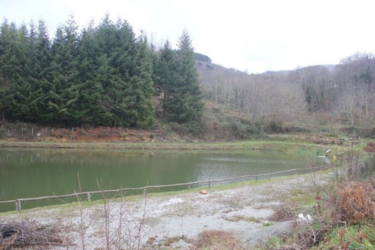 Laghetto di San Mazzeo. Pesca alla trota