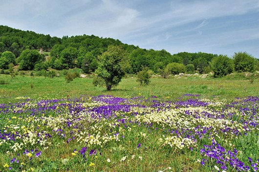 Piano di San Mazzeo in primavera