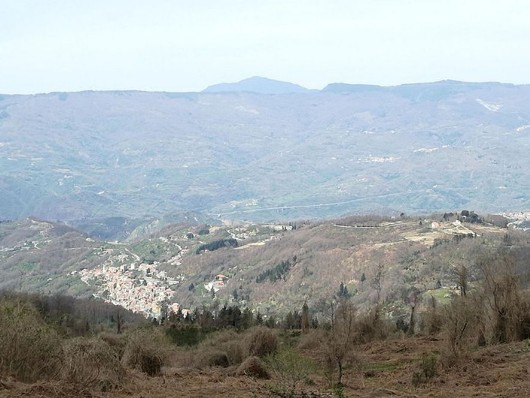 Valle del Savuto